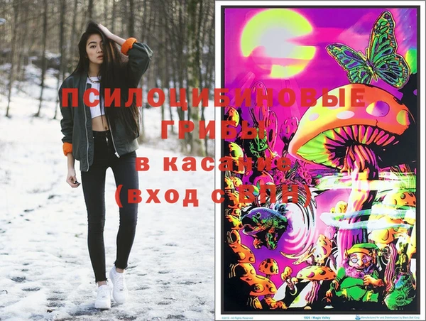 герыч Бронницы